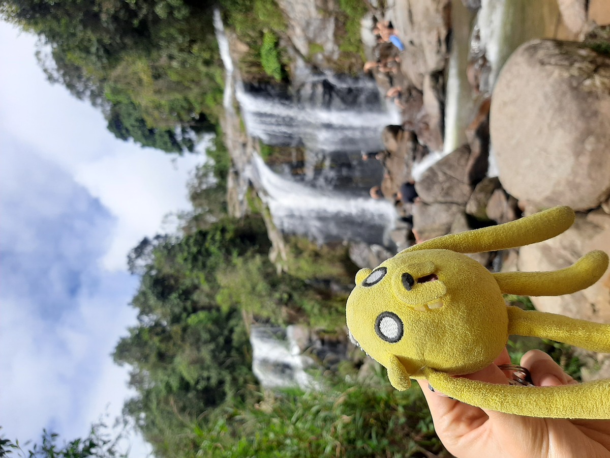 EMB&rsquo;s Jake the Dog Sr. keychain at the Matasano Falls, 5 km from Concepción.